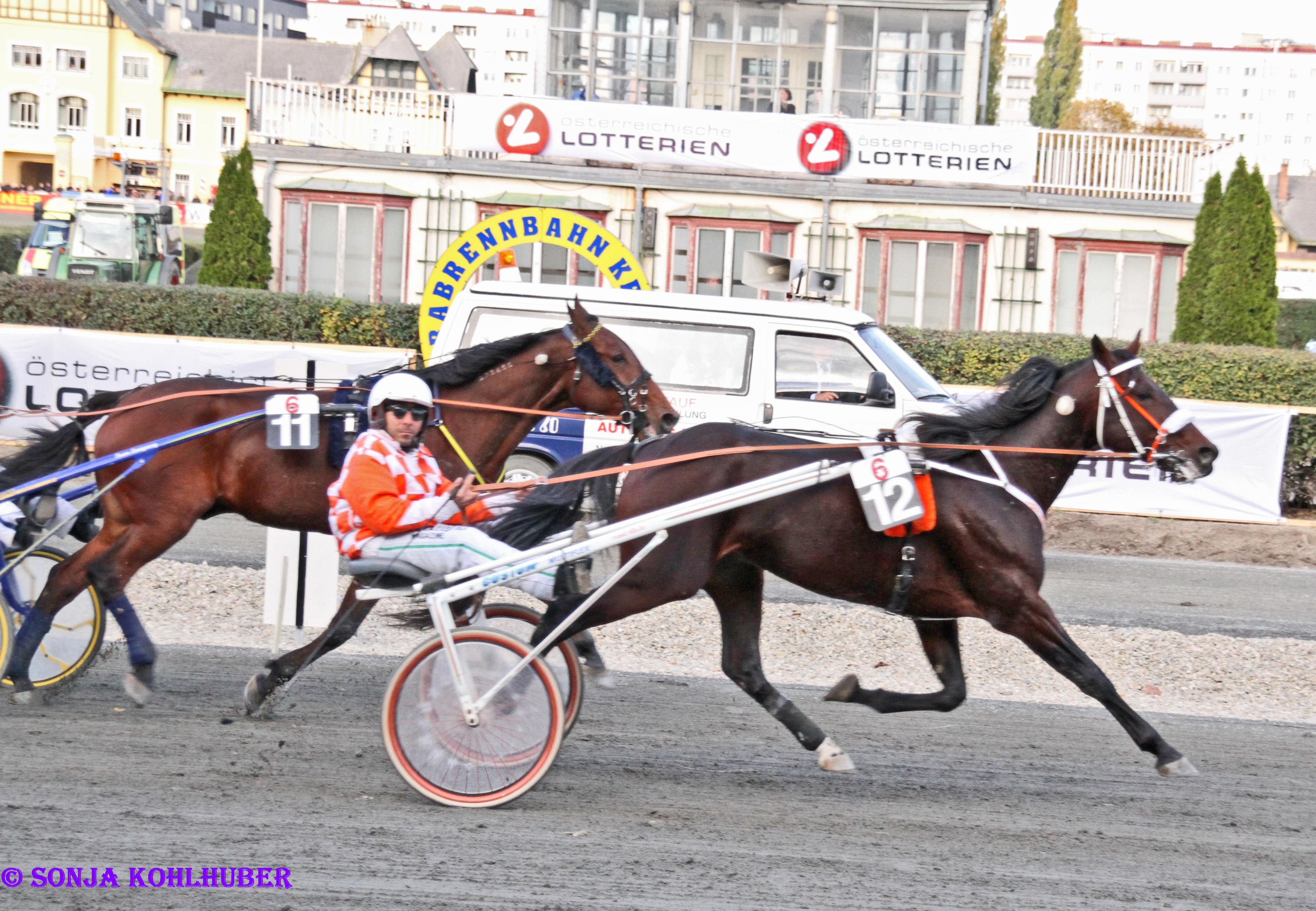 sicher zu hause,"wo ist der dackel!!!)